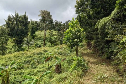 25657m² Land in Pont Casse, Dominica No. 66265 25