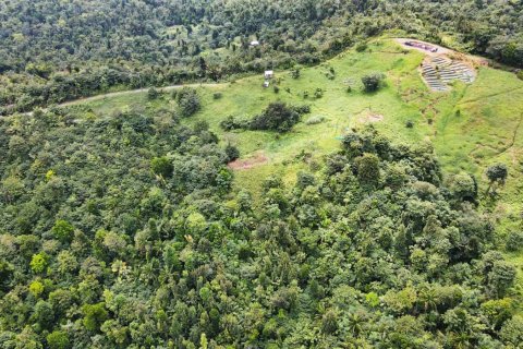 25657m² Land in Pont Casse, Dominica No. 66265 11