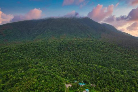 25657m² Land in Pont Casse, Dominica No. 66265 5