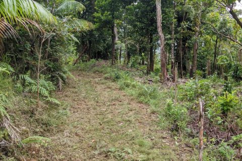 25657m² Land en Pont Casse, Dominica No. 66265 19