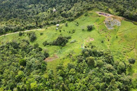 25657m² Land in Pont Casse, Dominica No. 66265 12