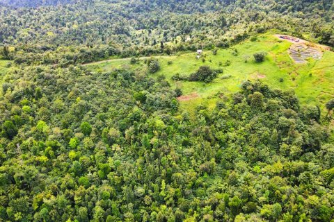 25657m² Land à Pont Casse, Dominica No. 66265 6