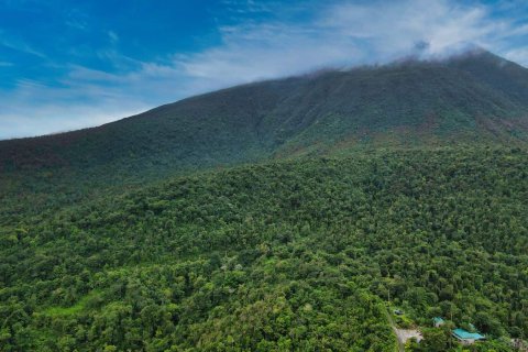 25657m² Land à Pont Casse, Dominica No. 66265 9