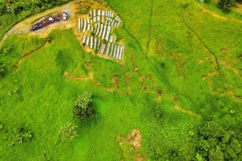 25657m² Land à Pont Casse, Dominica No. 66265 2