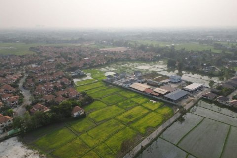 20 chambres Land à Chiang Mai, Thailand No. 1509 8