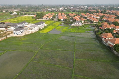 20 chambres Land à Chiang Mai, Thailand No. 1509 15