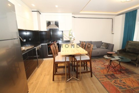 1+1 Appartement à Beyoglu, Turkey No. 16814 9