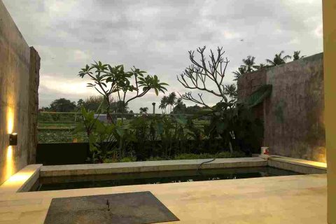 1 bedroom Villa in Gianyar, Indonesia No. 23480 4