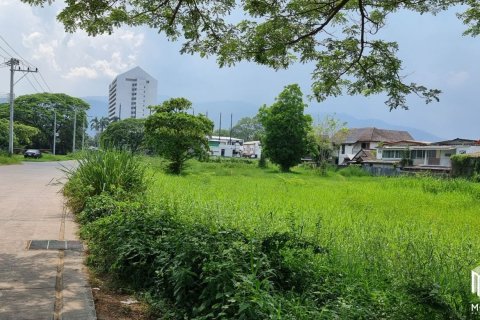 20 chambres Land à Chiang Mai, Thailand No. 2155 8