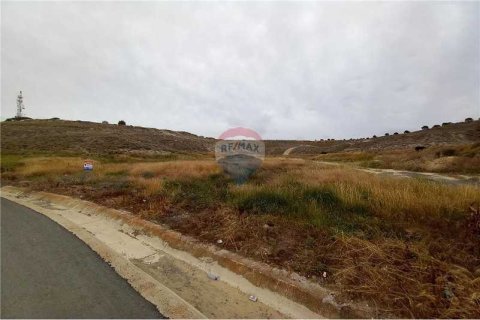 9754m² Land à Ormideia, Cyprus No. 41825 6