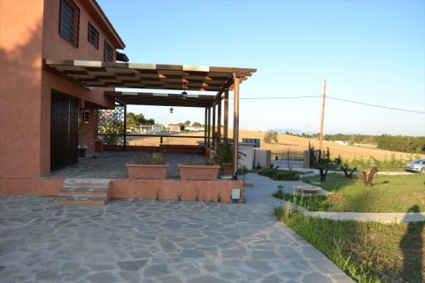 4 dormitorios Villa en Chalkidiki, Greece No. 49910 1