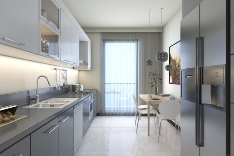 1+1 Appartement à Istanbul, Turkey No. 16003 5