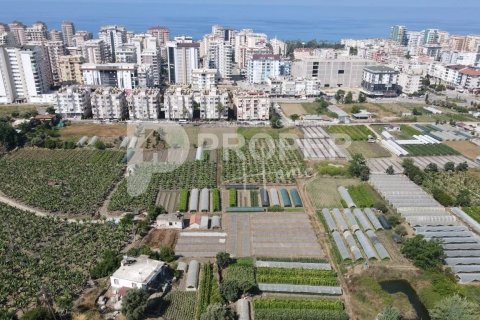 4 rooms Appartement à Alanya, Turkey No. 14175 18