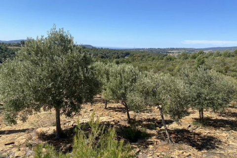 House in Bandol, France No. 68098 3