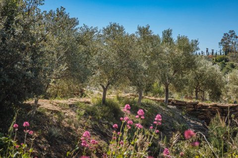 House in Bandol, France No. 68098 2