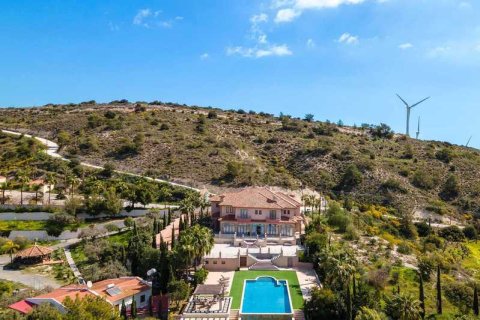 8 bedrooms Villa in Alethriko, Cyprus No. 30466 7