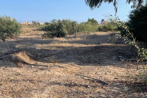 10000m² Land in Zygi, Cyprus No. 64500 2