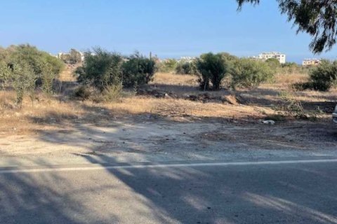 10000m² Land in Zygi, Cyprus No. 64500 1