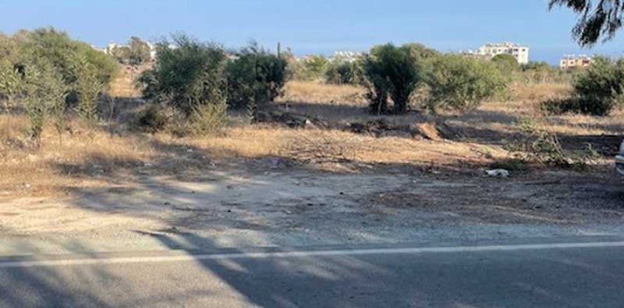 10000m² Land in Zygi, Cyprus No. 64500