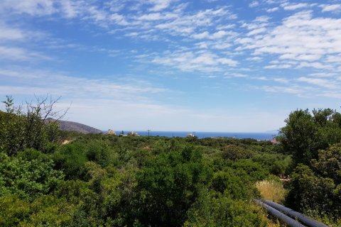 4520m² Land en Agios Nikolaos, Greece No. 57335 1