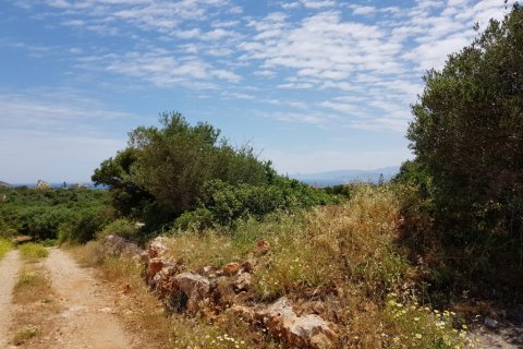 4520m² Land en Agios Nikolaos, Greece No. 57335 3