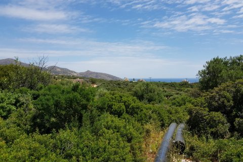 4520m² Land en Agios Nikolaos, Greece No. 57335 2