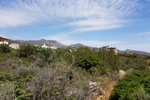 6000m² Land in Agios Nikolaos, Greece No. 57334 4