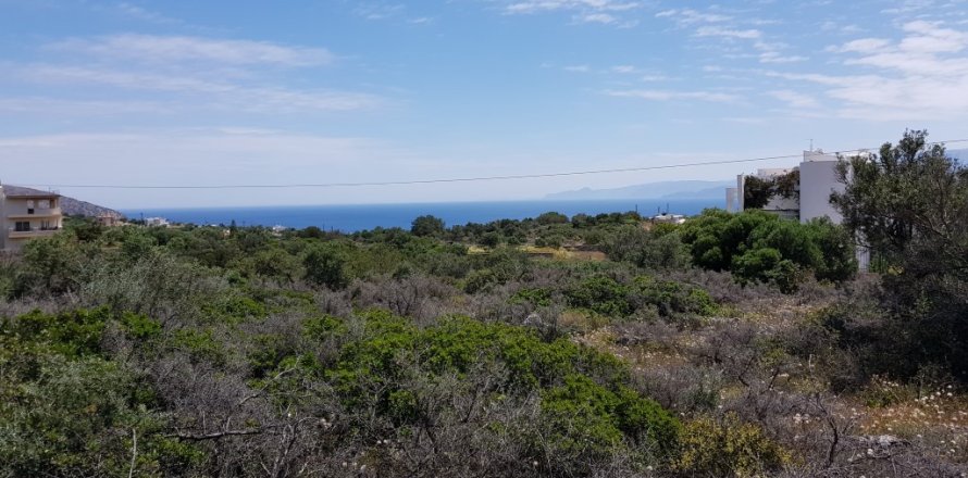 6000m² Land in Agios Nikolaos, Greece No. 57334