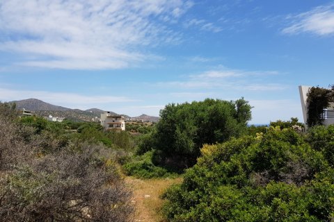 6000m² Land in Agios Nikolaos, Greece No. 57334 3