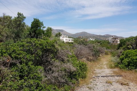 6000m² Land à Agios Nikolaos, Greece No. 57334 2