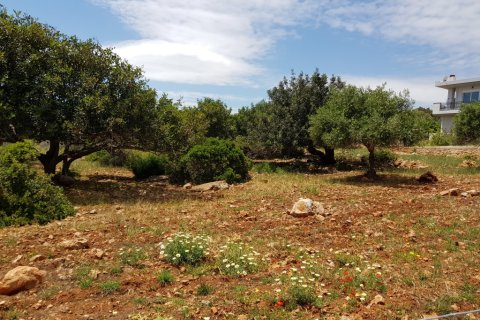 4542m² Land à Agios Nikolaos, Greece No. 57332 4