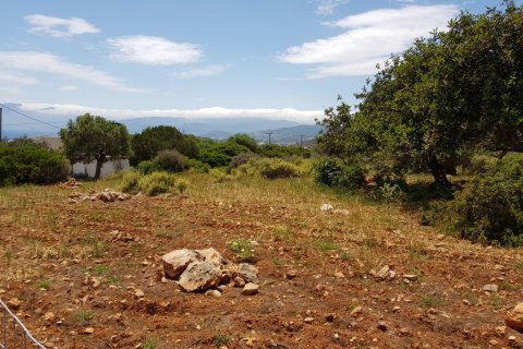 4542m² Land à Agios Nikolaos, Greece No. 57332 1