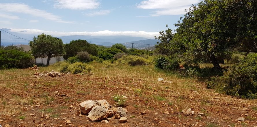 4542m² Land in Agios Nikolaos, Greece No. 57332