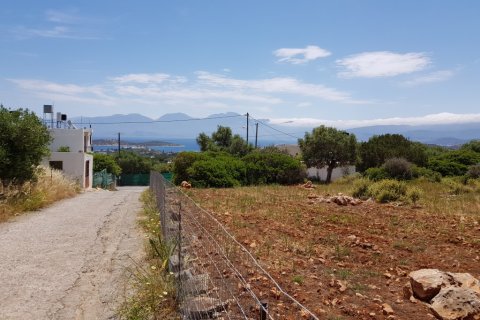 4542m² Land en Agios Nikolaos, Greece No. 57332 5