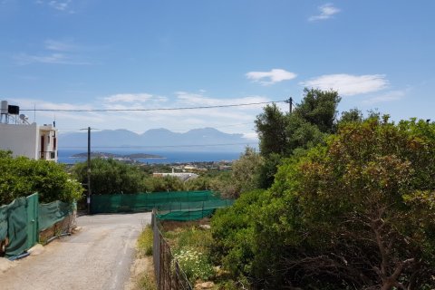 4542m² Land à Agios Nikolaos, Greece No. 57332 2