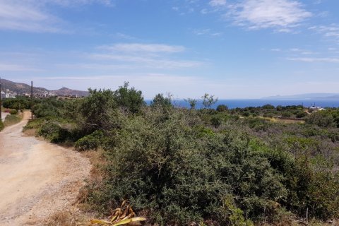 2000m² Land à Agios Nikolaos, Greece No. 57333 3