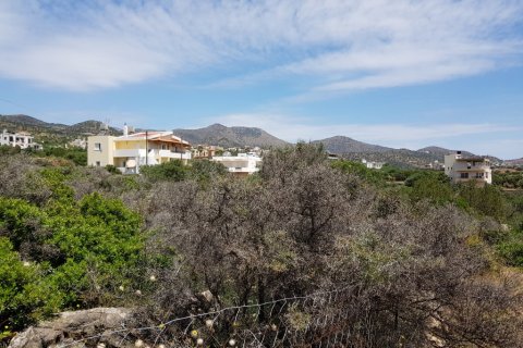 2000m² Land in Agios Nikolaos, Greece No. 57333 4