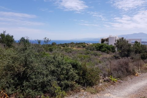 2000m² Land en Agios Nikolaos, Greece No. 57333 1