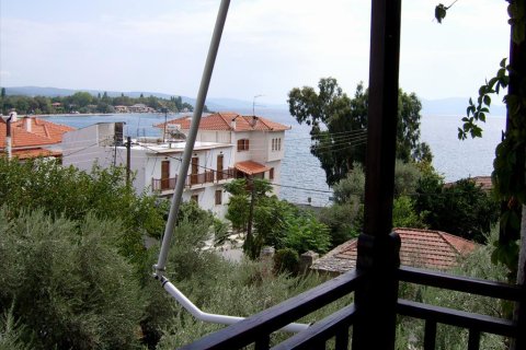 864m² Hotel in Magnesia, Greece No. 58839 9