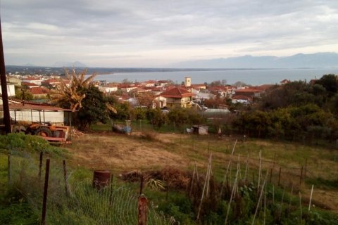 1000m² Land in Messenia, Greece No. 58840 3