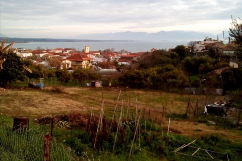 1000m² Land en Messenia, Greece No. 58840 2