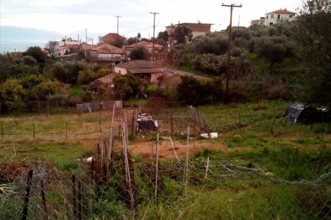 1000m² Land en Messenia, Greece No. 58840 5