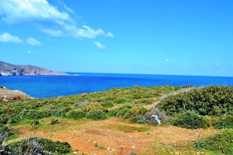 44000m² Land in Gazi, Greece No. 56002 2