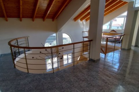 460m² Edificio en Voula, Greece No. 55988 5