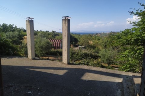 850m² Bâtiment à Thermaic Gulf, Greece No. 55986 20