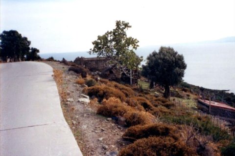 76000m² Land in Chios, Greece No. 59135 5