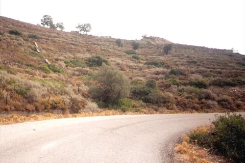 76000m² Land en Chios, Greece No. 59135 6