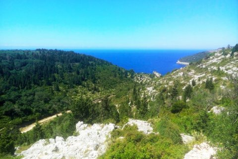 5000m² Land in Corfu, Greece No. 59139 2