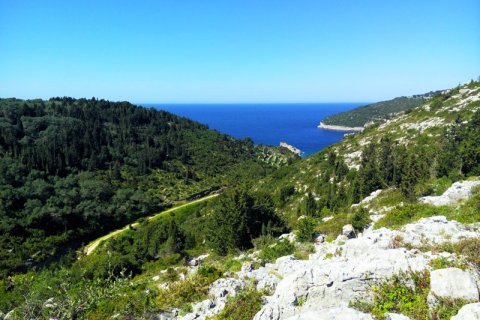 5000m² Land in Corfu, Greece No. 59139 1