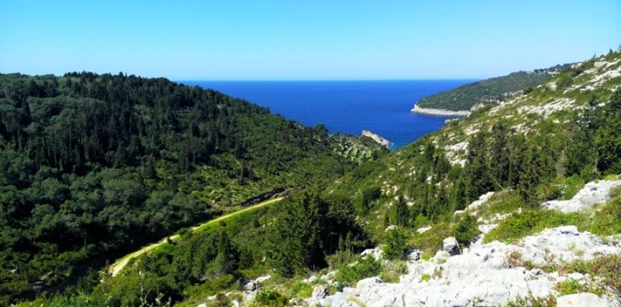 5000m² Land en Corfu, Greece No. 59139